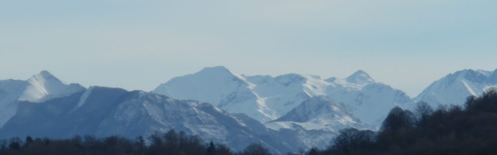 frederique.lerbet-sereni